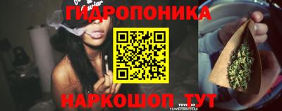 прущие крисы Краснокаменск