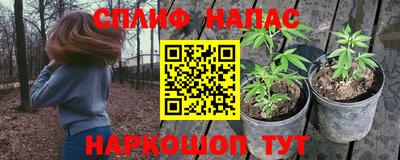 не бодяженный Краснодар