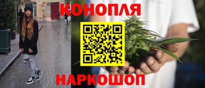 стафф Краснознаменск