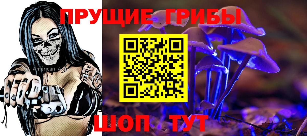 Галлюциногенные грибы прущие грибы  Вход с VPN  Будённовск 